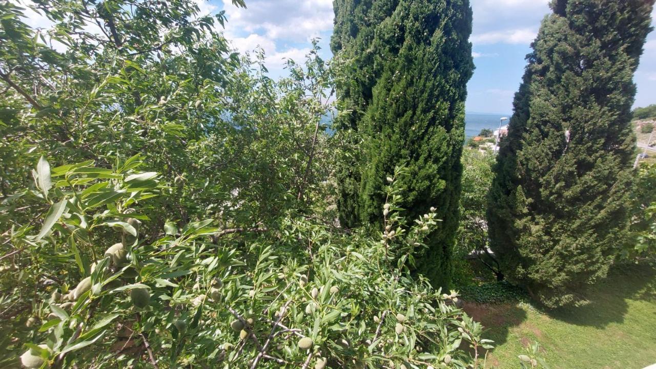 Appartement Corina & Franco Senj (Lika-Senj)